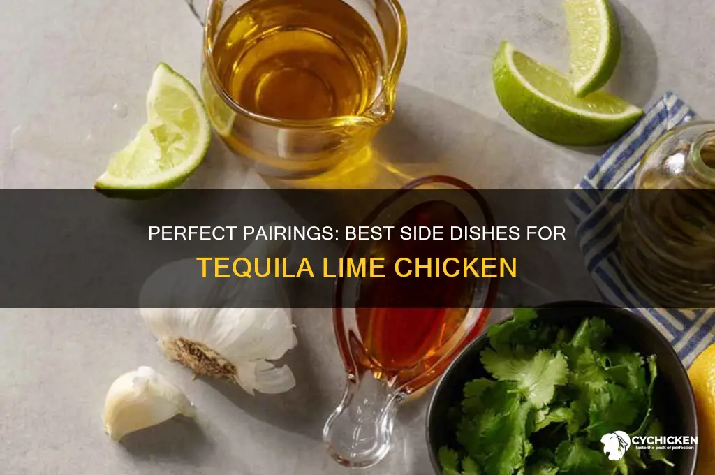 what side dish goes with tequila lime chicken