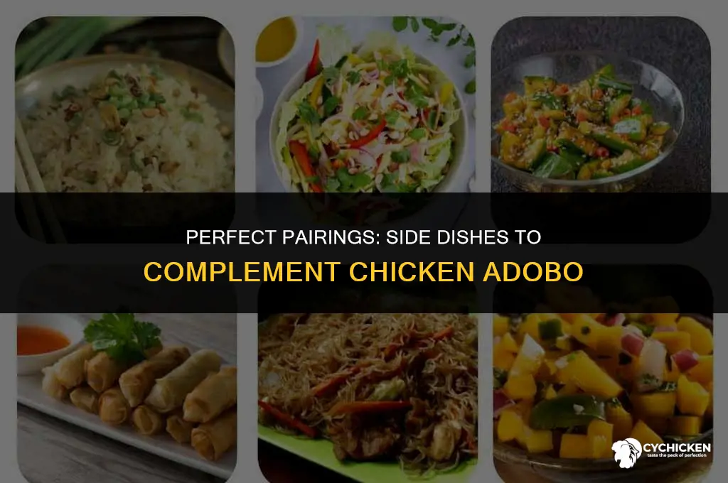what side dish to serve with chicken adobo