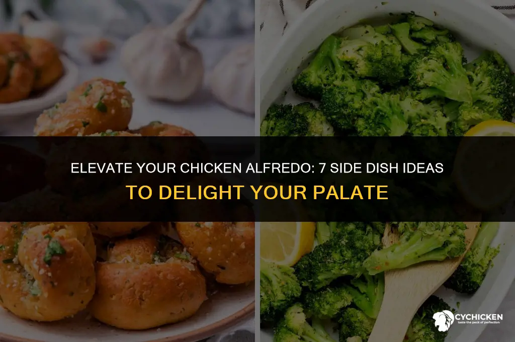what side dish to serve with chicken alfredo