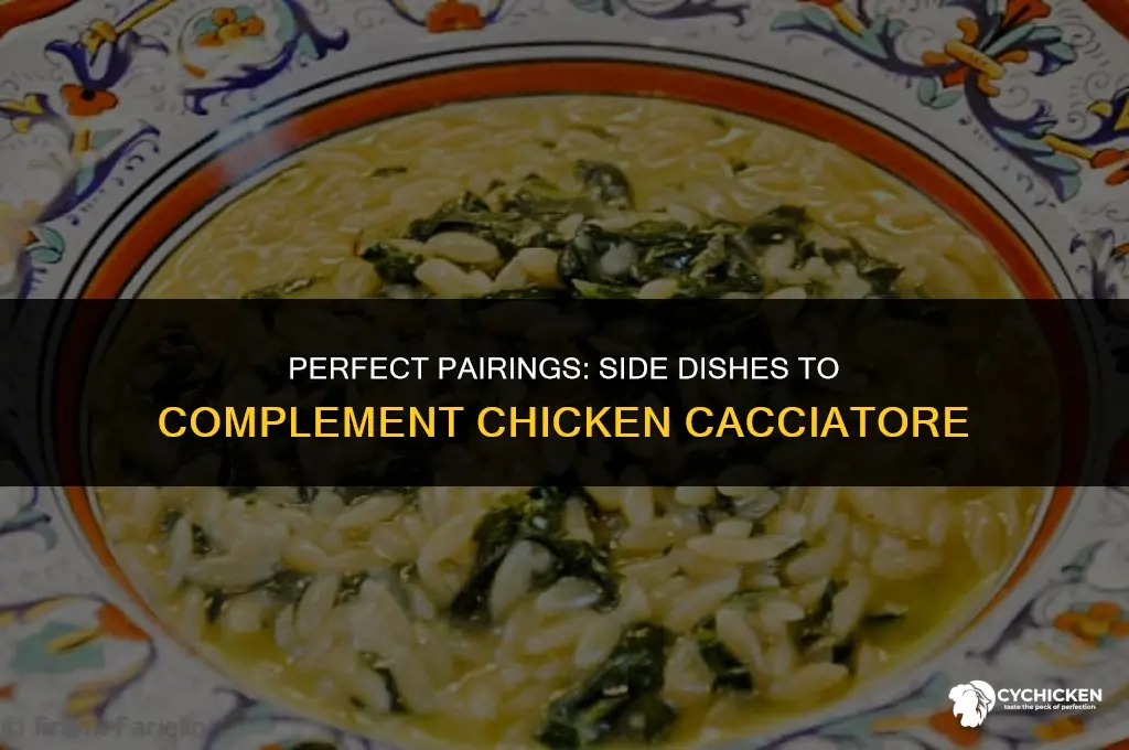 what side dish to serve with chicken cacciatore