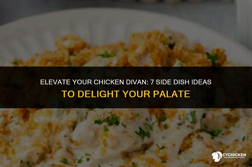 what side dish to serve with chicken divan