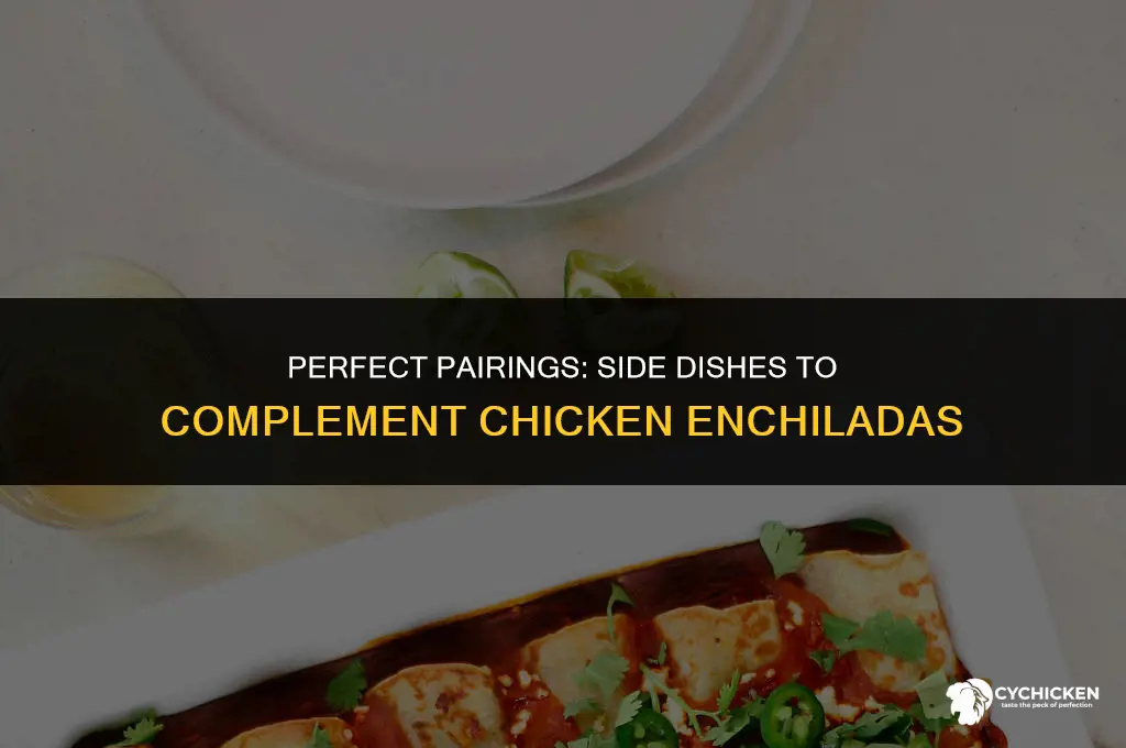 what side dish to serve with chicken enchiladas