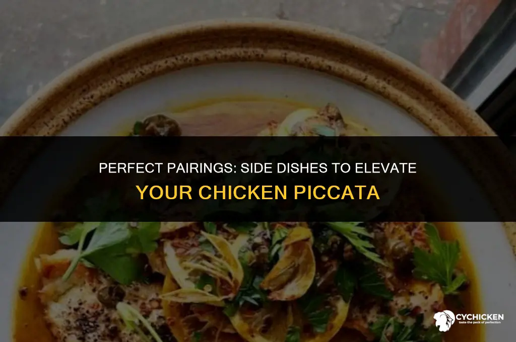 what side dish to serve with chicken picatta