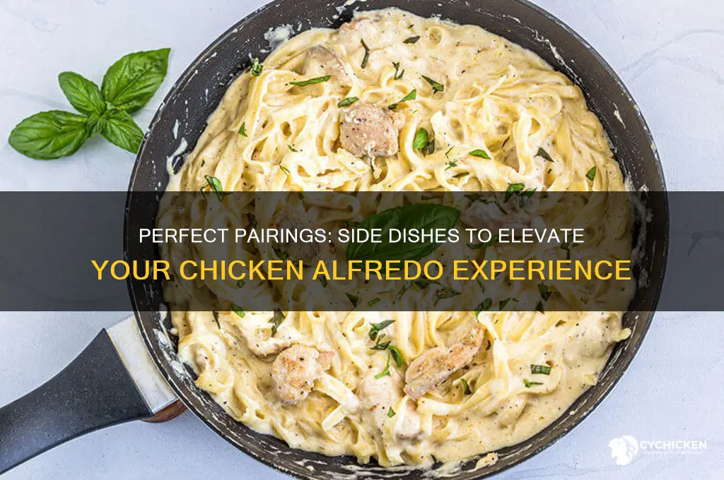what side dishes go with chicken alfredo