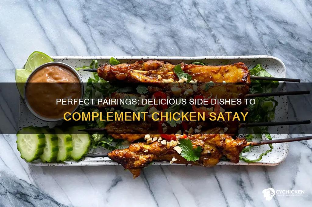 what side dishes go with chicken satay