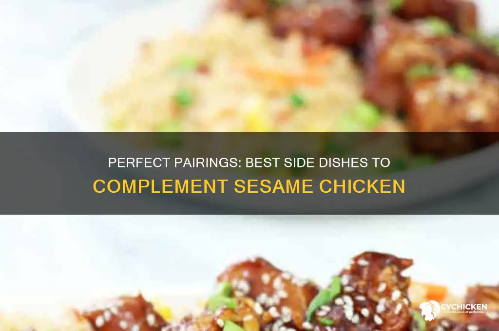 what side dishes go with sesame chicken