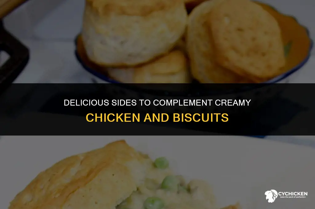 what side dishes to serve with cream chicken over biscuits