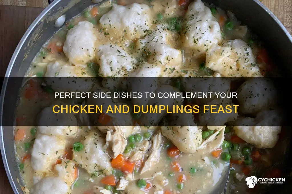 what side dishes with chicken and dumplings
