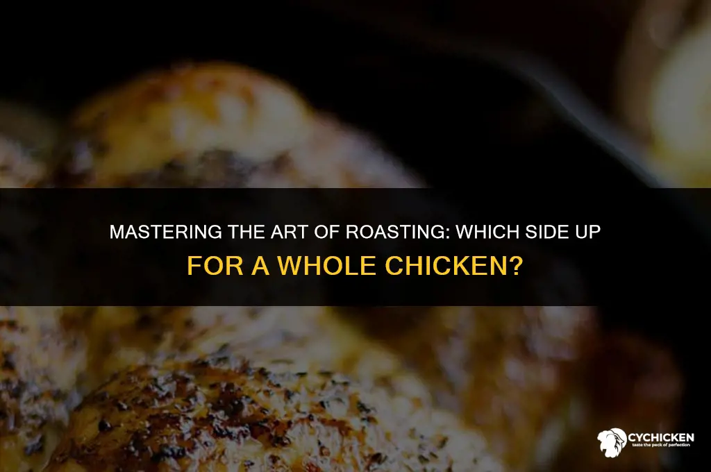 what side do i cook a whole chicken on