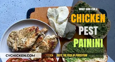 Perfect Chicken Pesto Panini Sides: Delicious Pairings to Elevate Your Meal