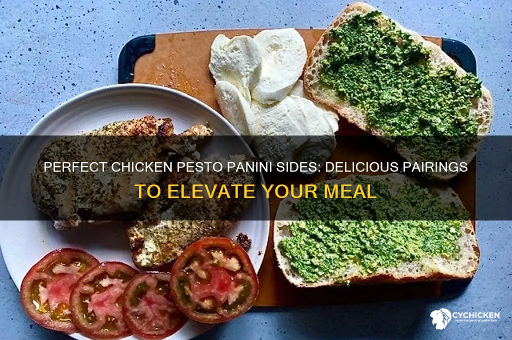 what side for a chicken pest painini