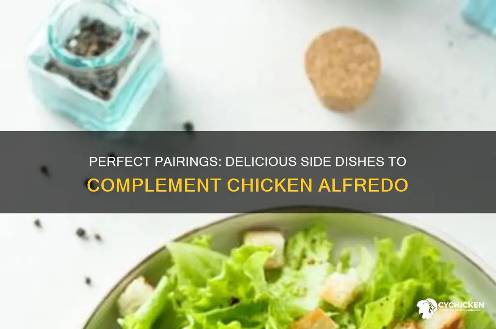 what side goes well with chicken alfredo