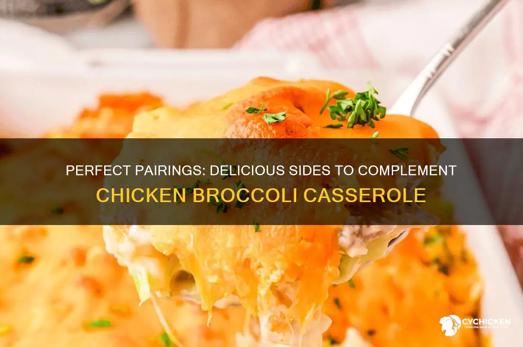 what side goes with chicken broccoli casserole