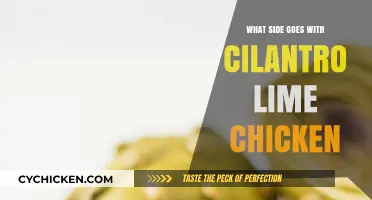 Perfect Pairings: Delicious Sides to Complement Cilantro Lime Chicken
