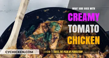 Perfect Pairings: Delicious Sides to Complement Creamy Tomato Chicken