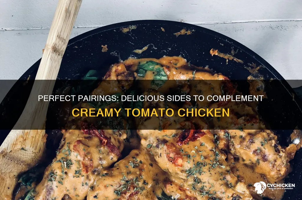 what side goes with creamy tomato chicken