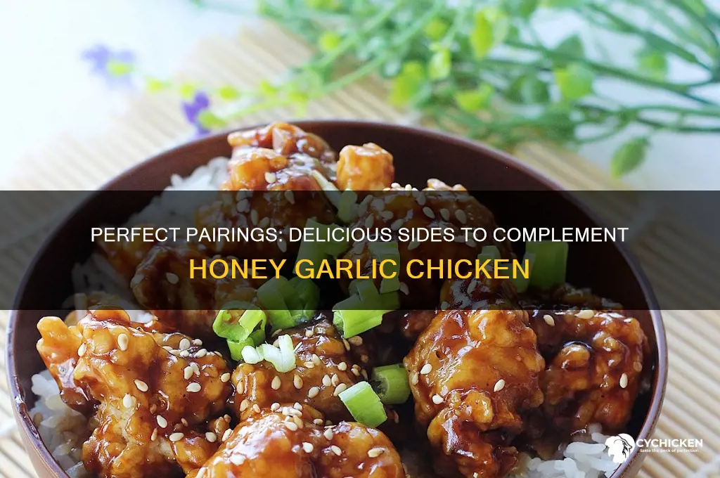 what side goes with honey garlic chicken