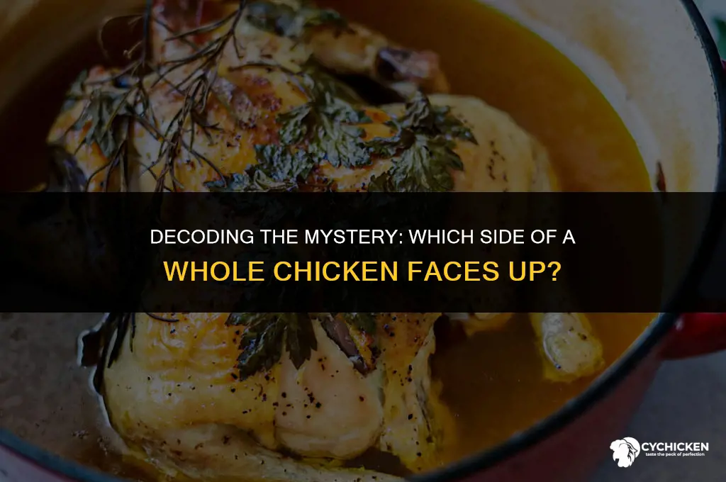 what side is up on a whole chicken