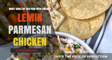 Creamy Lemon Parmesan Chicken: Best Side Dishes