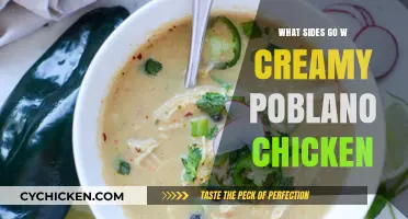 Perfect Pairings: Delicious Sides to Complement Creamy Poblano Chicken