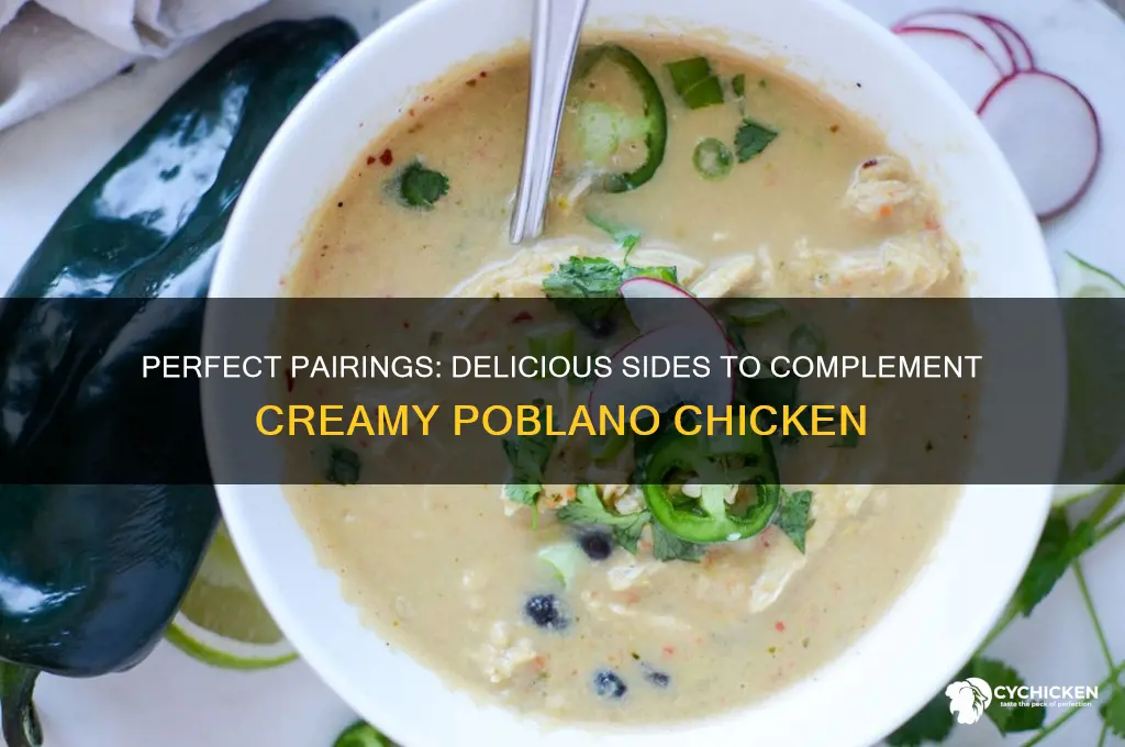 what sides go w creamy poblano chicken