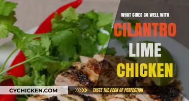 Perfect Pairings: Delicious Sides to Complement Cilantro Lime Chicken