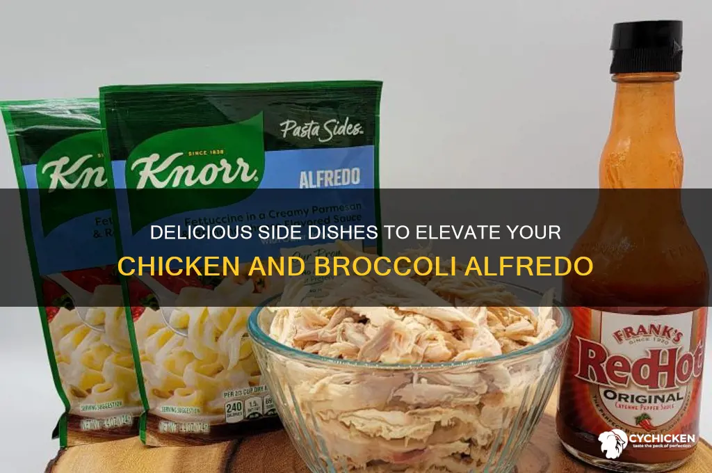 what sides go with chicken and broccoli alfredo
