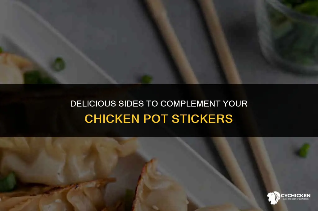 what sides go with chicken pot stickers