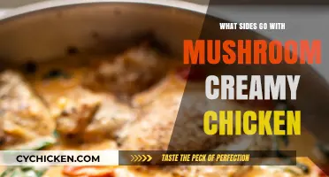 Creamy Mushroom Chicken: Perfect Side Dish Pairings to Elevate Your Meal