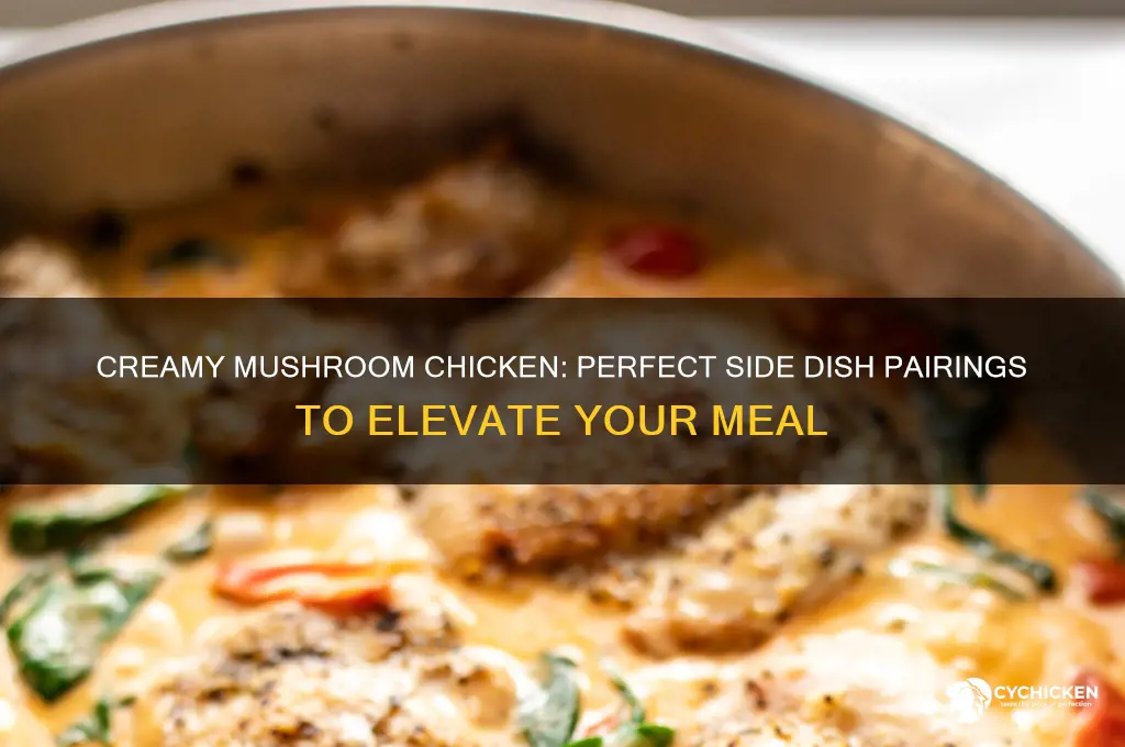 what sides go with mushroom creamy chicken