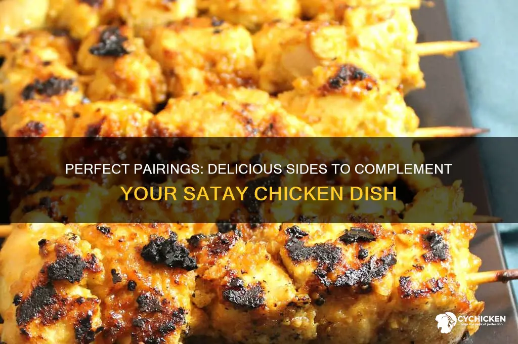 what sides to have with satay chicken
