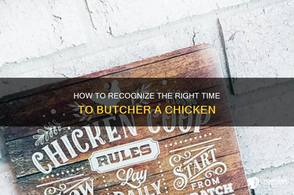 what signs do you butcher a chicken