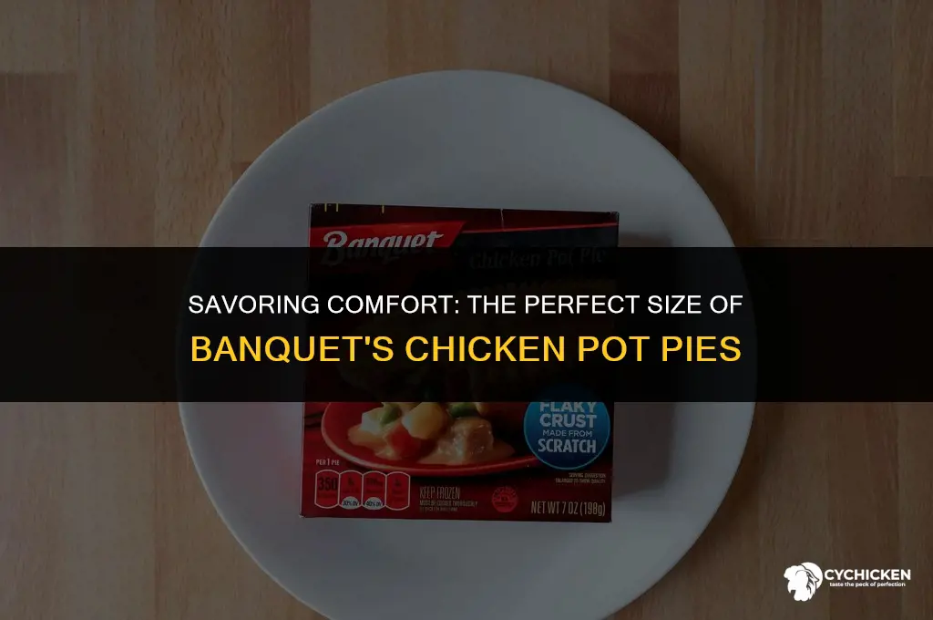 what size are banquets chicken pot pies