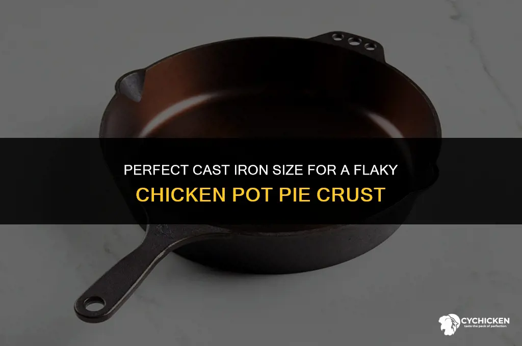what size cast iron for chicken pot pie