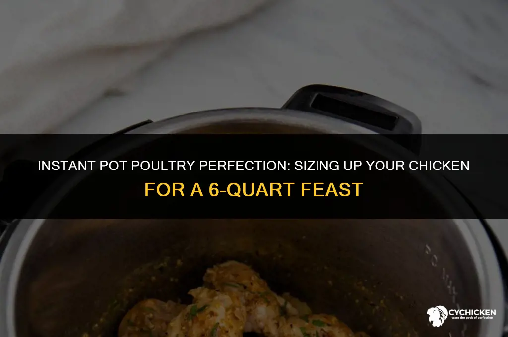 what size chicken can fit in 6 qt instant pot