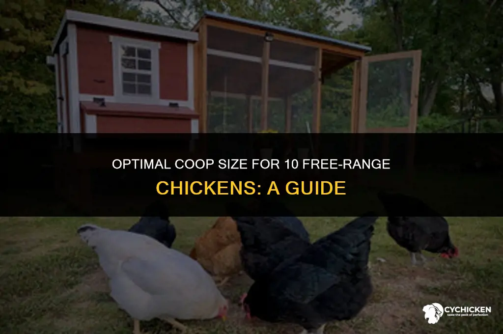 what size chicken coop 10 free range chickens