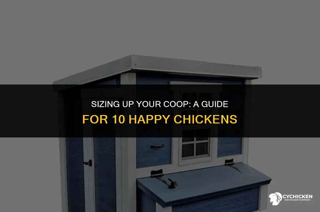 what size chicken coop do i need for 10 chickens