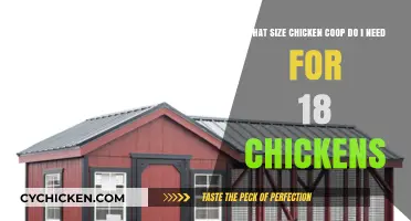 Optimal Coop Size for a Flock of 18 Chickens: A Guide