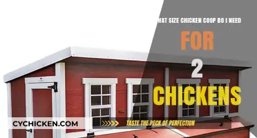 Sizing Up the Perfect Coop: A Guide for Two Chickens