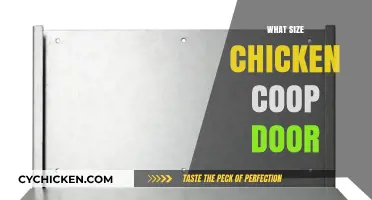 Optimal Chicken Coop Door Size: A Guide for Happy Hens