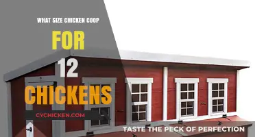 Optimal Coop Size for a Dozen Happy Hens: A Guide