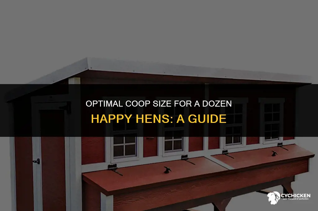what size chicken coop for 12 chickens