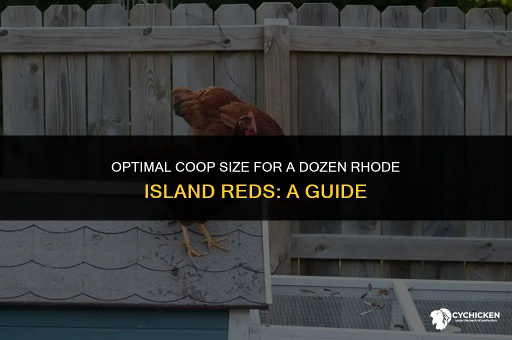 what size chicken coop for 12 rhode island reds