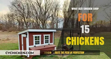 Optimal Coop Size for a Flock of 15 Chickens: A Guide