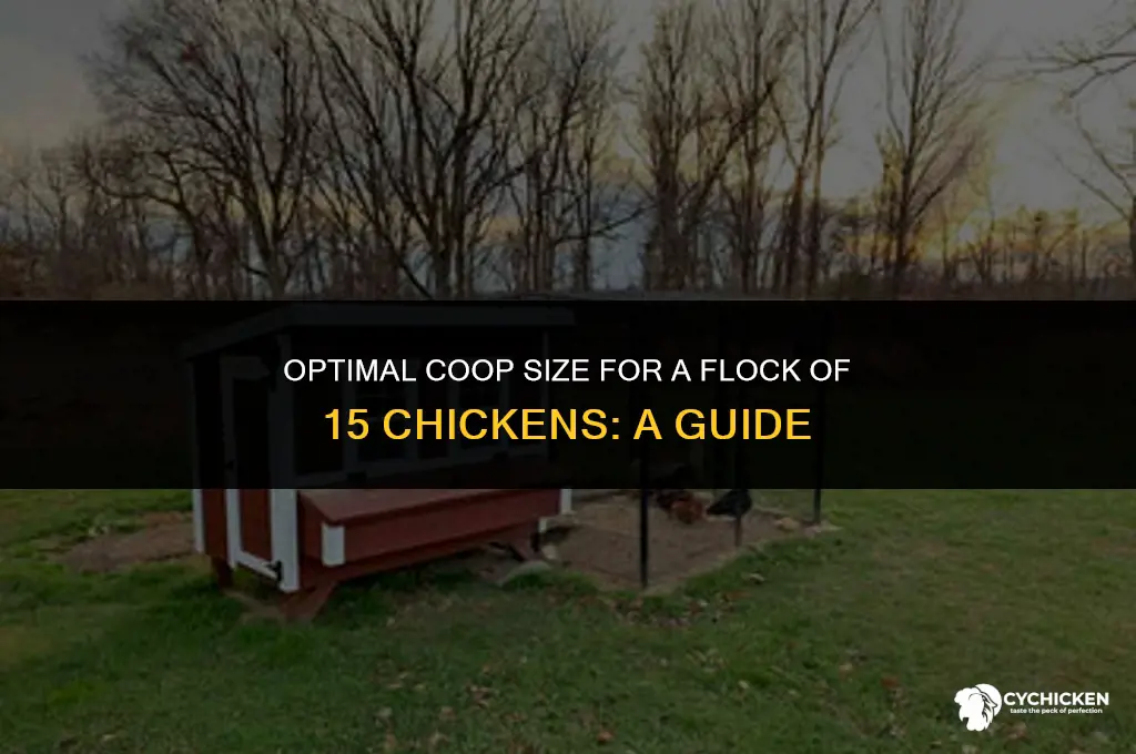what size chicken coop for 15 chickens