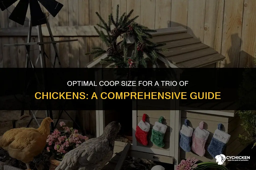 what size chicken coop for 3 chickens