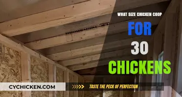 Optimal Coop Size for a Flock of 30 Chickens: A Guide