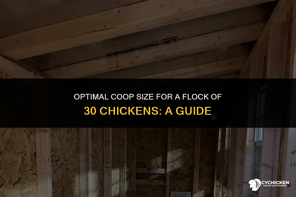 what size chicken coop for 30 chickens