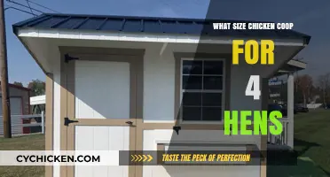 Optimal Coop Size for Four Hens: A Guide to Happy Chickens