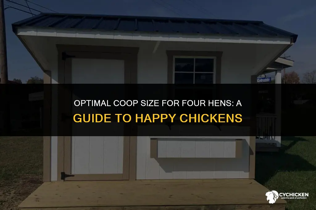 what size chicken coop for 4 hens